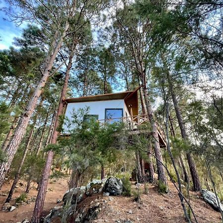 Casita Colgada "Can Lia" La Guancha Exteriör bild