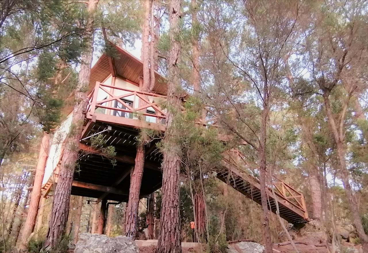 Casita Colgada "Can Lia" La Guancha Exteriör bild
