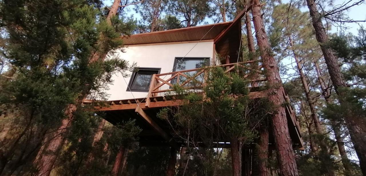 Casita Colgada "Can Lia" La Guancha Exteriör bild