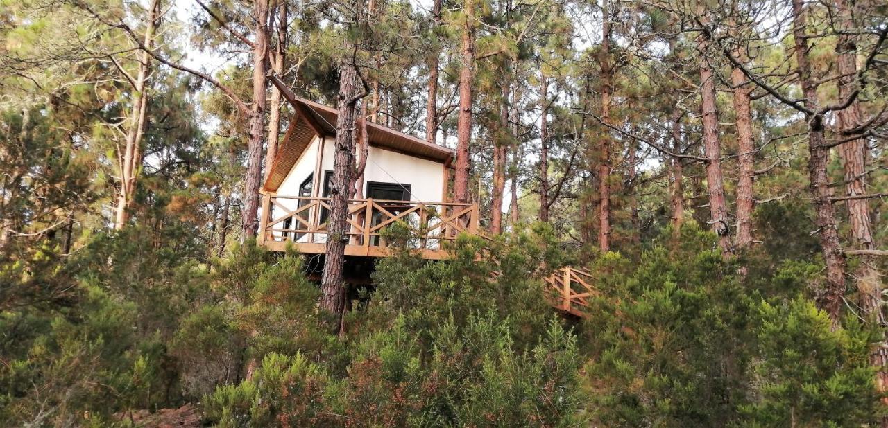 Casita Colgada "Can Lia" La Guancha Exteriör bild