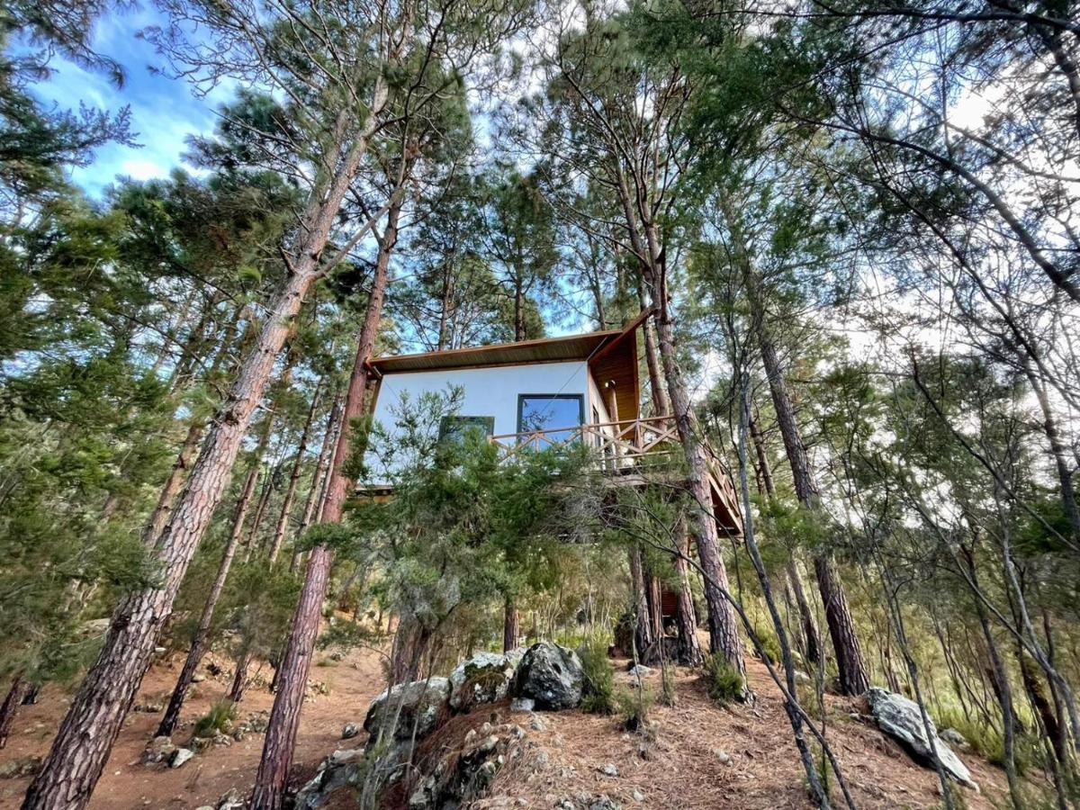 Casita Colgada "Can Lia" La Guancha Exteriör bild
